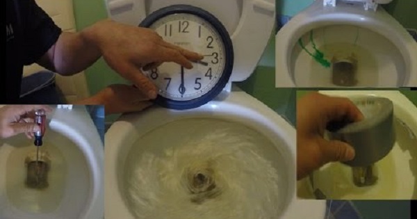 Slow Draining: Easy 5 Seconds Toilet Flush Test and Solving the Slow Flush Mystery