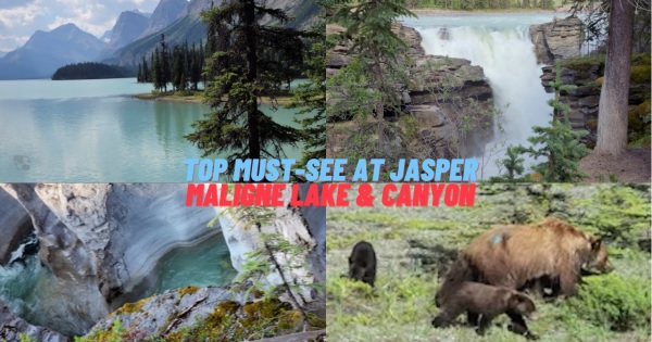 Top 5 Must-See at Jasper: Maligne Lake & Canyon, Athabasca Falls, Medicine Lake & Jasper
